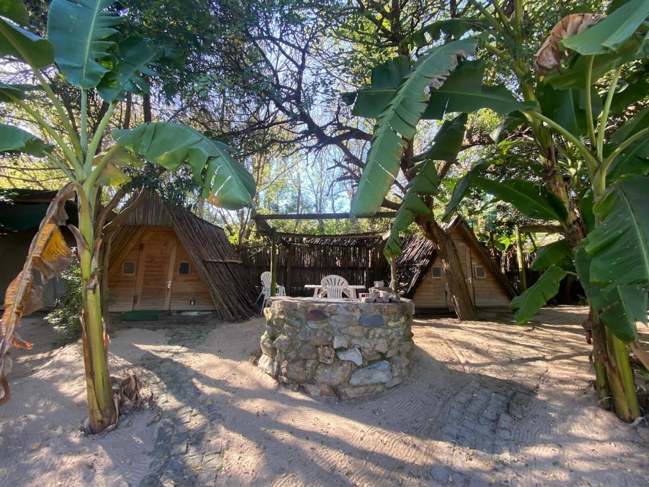 The Riverdeck Accommodation And Backpackers Knysna Zewnętrze zdjęcie