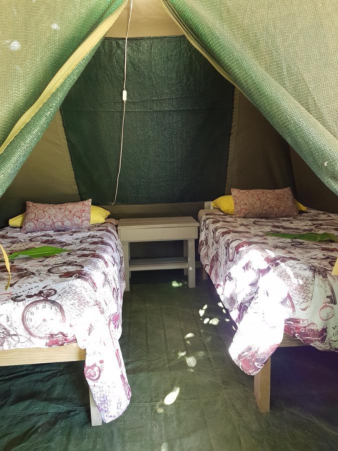 The Riverdeck Accommodation And Backpackers Knysna Zewnętrze zdjęcie